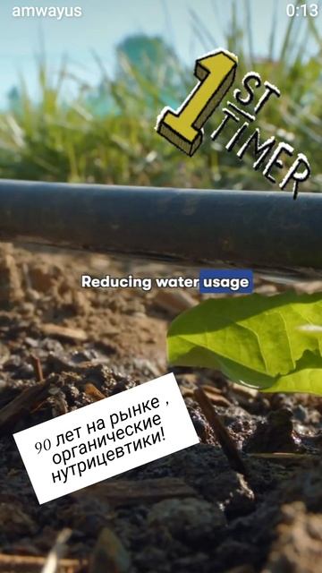 satiniqe уход за волосами