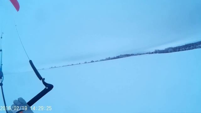 19 02 2016 Зверинец