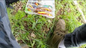 Трудовая щука в закоряженной лесной реке