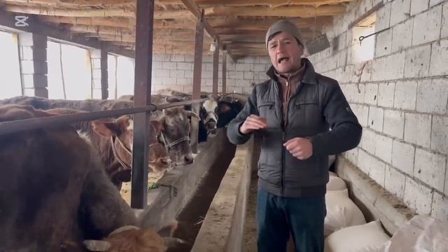 ДАР ФЕРМАИ ДЕХКОН БАЧА ЧИ ГАП ШУД ? Ин навори нав аст , смотреть онлайн