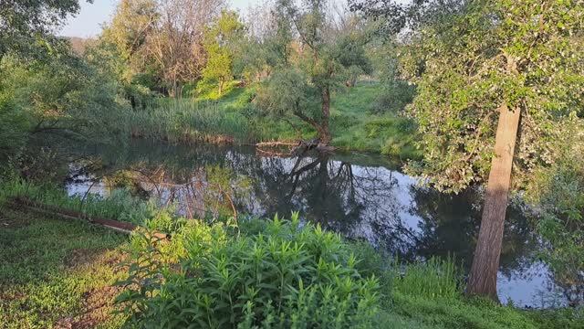 Обзор огорода. Созревает первая ягода. Клубника!!!21. 05. 2025 г. смотреть онлайн