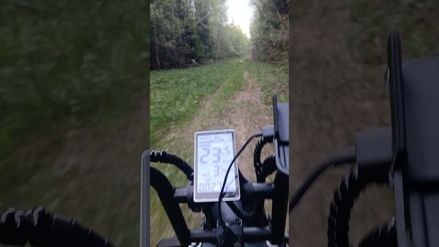 Wenbox F9 по лесной просеке