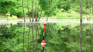 Рыбалка на поплавок на карася на новом лесном заросшем пруду, но всё пошло не по плану..