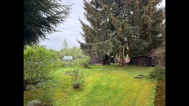 3016816 смотреть онлайн