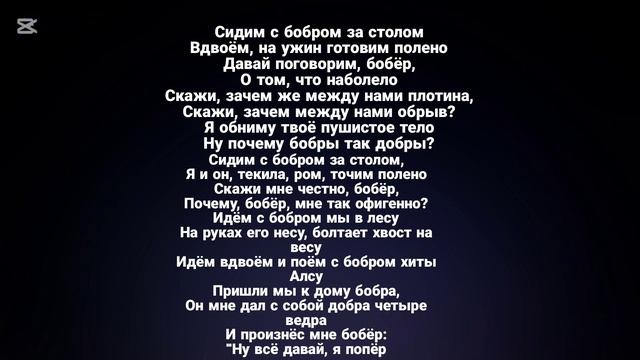 Бобр (Слава Скрипка) Текст песни