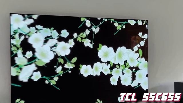 Телевизор TCL 55 T6C и TCL 55C655 СРАВНЕНИЕ