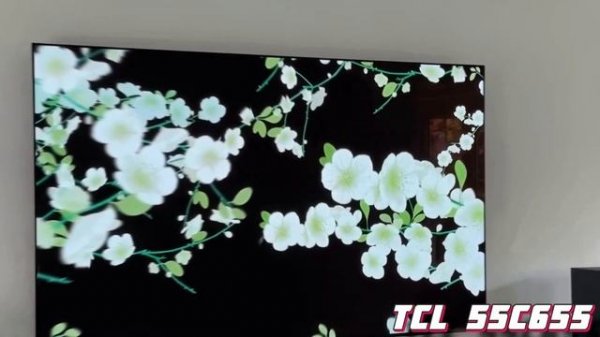 Телевизор TCL 55 T6C и TCL 55C655 СРАВНЕНИЕ