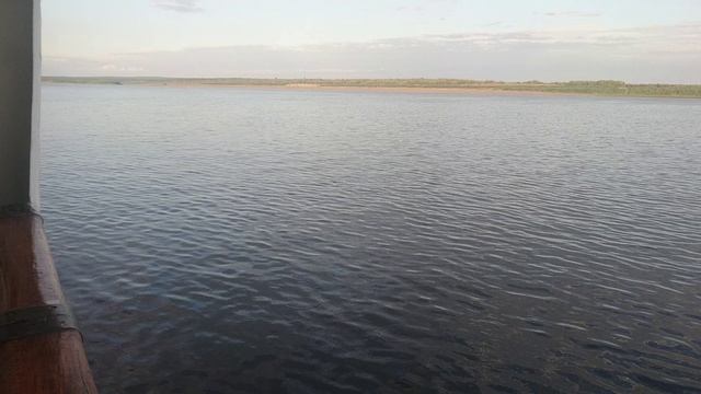 Кормежка тугунка смотреть онлайн