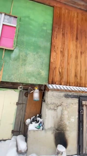 Дом с подвалом у бати #стройка #строюдом #строюсам смотреть онлайн