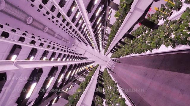 AgroTechFarm Vertical Farm