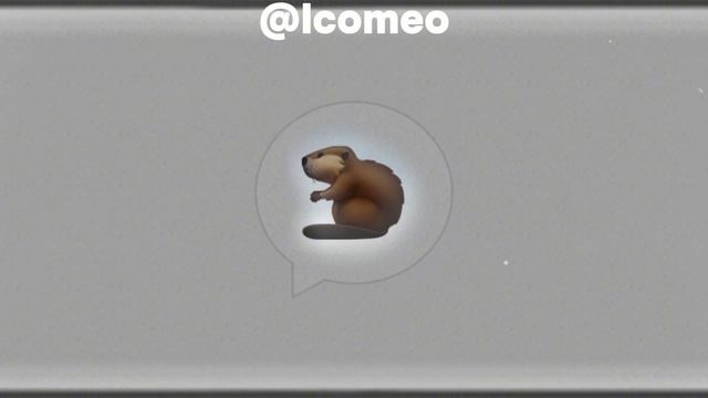 Бобр Lyrics +текст