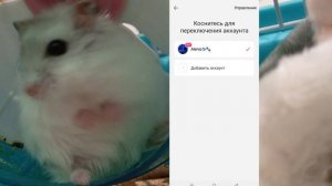 ★тутор как сделать 2 аккаунт в лайке на телефоне ★смо?