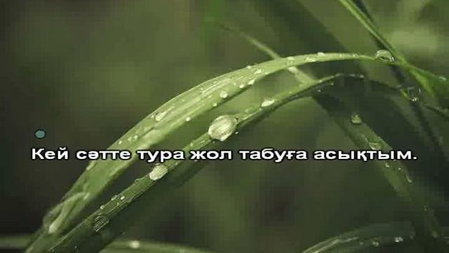 Diana Ismail   Kezdeser караоке