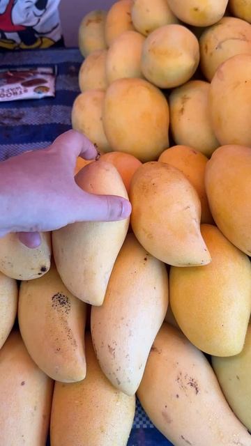 Как выбрать правильный манго в Тае? смотреть онлайн