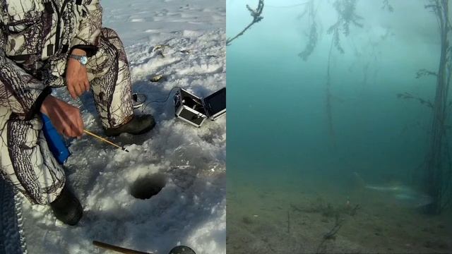 Как поймать рыбу в неклёвый день. смотреть онлайн