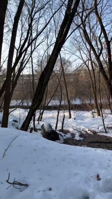 Эко парк Лихоборка. Тропа древних славян. Мормышинг в Москве. смотреть онлайн