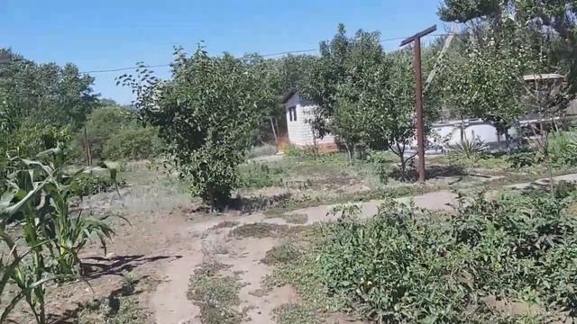 Что купили на рынке/Бусин дом/казачьи пышки смотреть онлайн