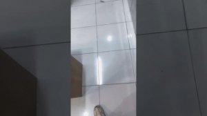 Обзор магазина секонд-хенд на Пхукете Таиланд кроссов