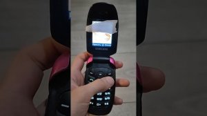 samsung sgh C520 incoming call/входящий вывоз