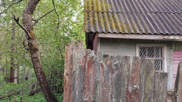 медик участки