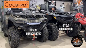 Сравним Hisun Guardian 750 и Stels Guepard 800?