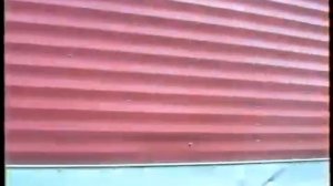 Владивосток 1995