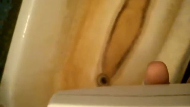 Звонок на номер 5666 нам ответили