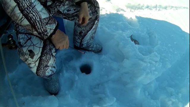 Клёв неважный. смотреть онлайн