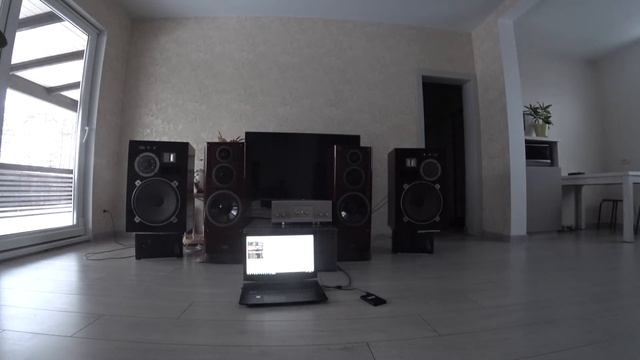 Pioneer S-955 & NEC A-10X & ЦАП Gustard DAC-X12