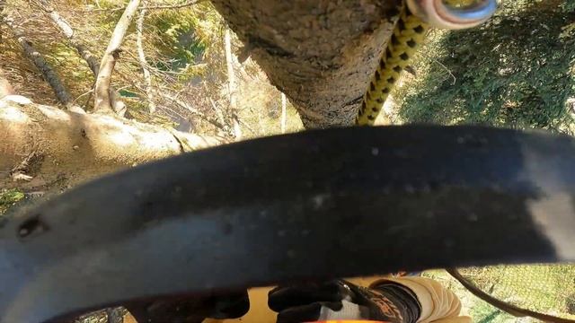 Най лудото иглолистно което съм рязал - T540i XP MS194T MS261 550X смотреть онлайн