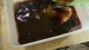 Копчу жидким дымом дома большого леща