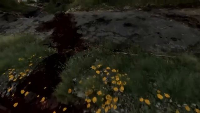 Прохождение The Vanishing of Ethan Carter Часть1 смотреть онлайн