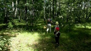 В летнем лесу.