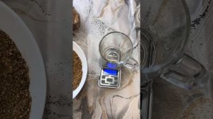 КАК ПРИНИМАТЬ СУШЕНЫЙ МОЛОТЫЙ МУХОМОР 🍄