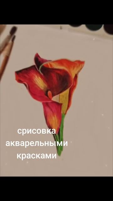 цветок акварельными красками. Срисовка смотреть онлайн
