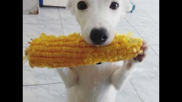 а у тебя в кармане пусто - speed up 🍫 ( ТЕКСТ В ОПИСАНИЕ) смотреть онлайн