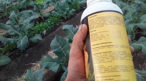 Био стимулятор цветения огурца и томата #веллсет #земл