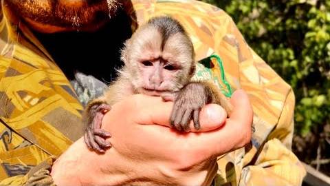 Мы пришли к РОДИТЕЛЯМ Финика! Малыш ИСПУГАЛСЯ и стал прятаться… смотреть онлайн