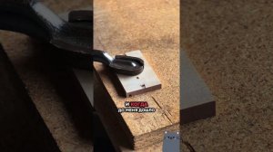 История. Тучный жаб