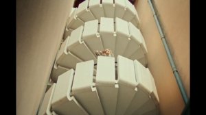 Премьера клипа !  Милана Хаметова - Бабочки (Official Music Video