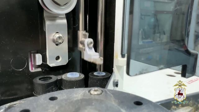 Наркополицейские изъяли около 24 кг синтетики из тайников, оборудованных в лесном массиве Павлово смотреть онлайн