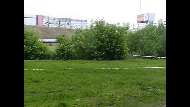 Байсен (1.5 года) на 