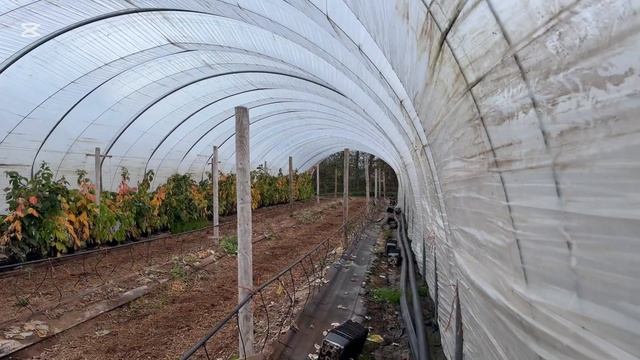 Опыт эксплуатации Ipad Pro 2024 года