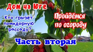 Дом на Юге. Пройдёмся по саду - огороду.  Часть вторая.
