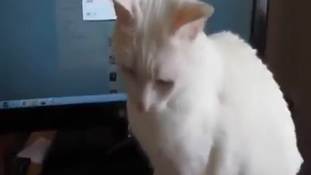 Хватит на сегодня компьютера смотреть онлайн