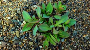 весна 2025, Магаданская область