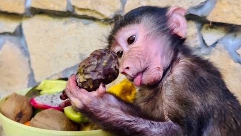 ОСТОРОЖНО, Анфиса! Она ужасно огорчится, если что-нибудь на свете вдруг случится смотреть онлайн