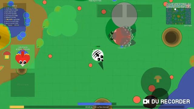 Первое видео букашки. Mope.io