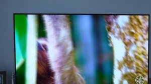 Телевизор LG OLED48C4RLA