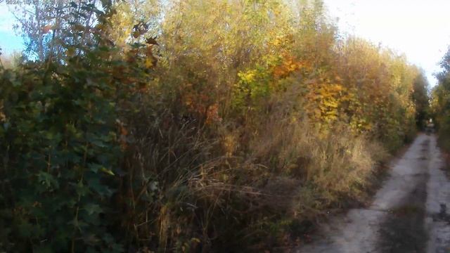 Видеокамера HD 4K с пультом CERASTES Viran